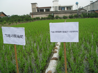 施地佳 突破傳統，以創新科技引領有機稻谷種植與土壤改良新篇章
